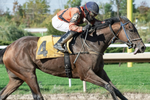 Dornoch leads in Longines Breeders’ Cup Classic rankings